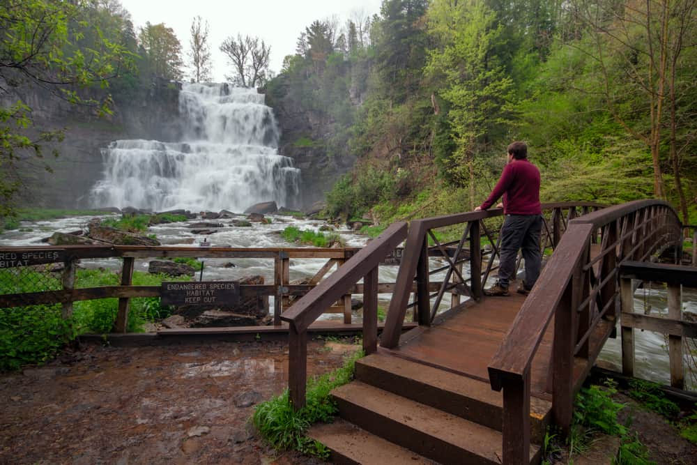 A man enjoying the view of Chittenango Falls near Hamilton, NY
