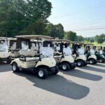 Rows of golf carts